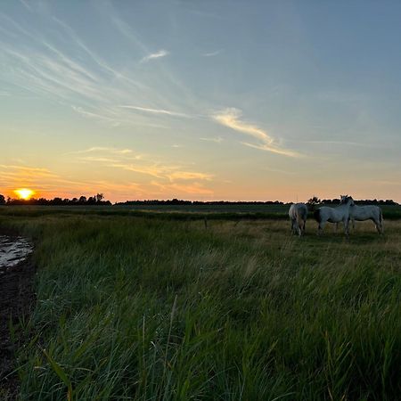 Nedlagt Gard I Naturen Med Ro Og Fred Og Samtidig Taet Pa Strand Og Fiskeri Og Indkobsmuligheder Нордборг Екстериор снимка